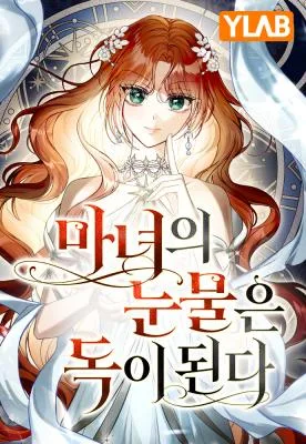 Cover image of The Witch’s Tears Become Poison