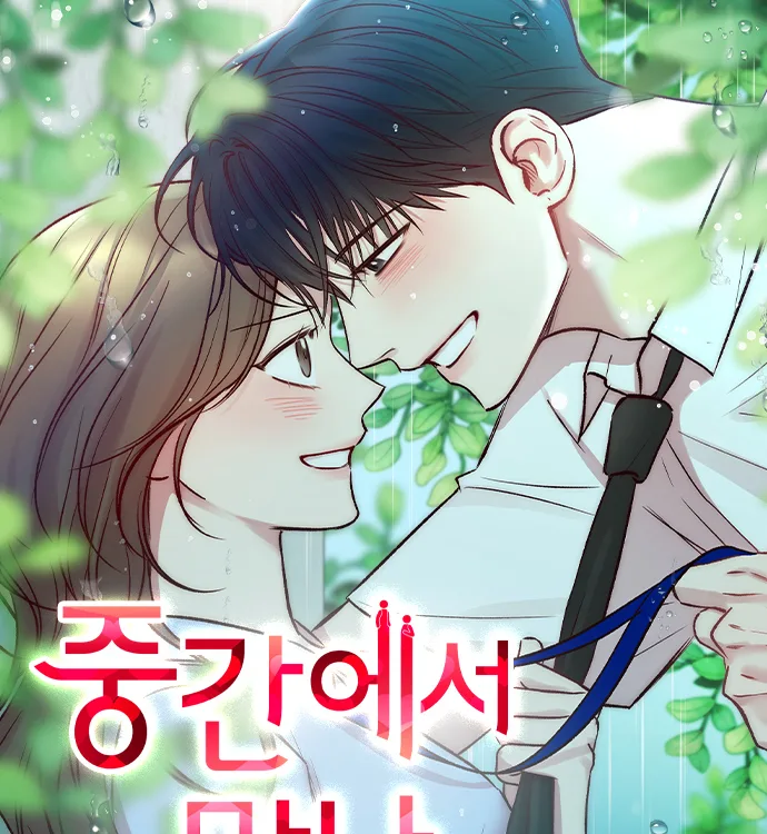 Cover image of Meet in The Middle