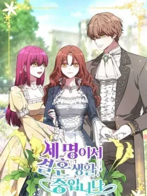 Cover image of The Three Are Living a Married Life