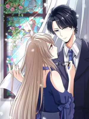 Cover image of Love at First Night