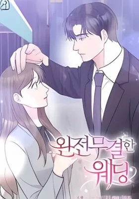 Cover image of My Boss’s Perfect Wedding