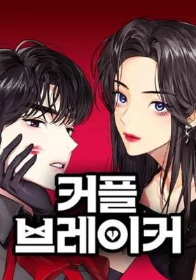 Cover image of The Couple Breaker