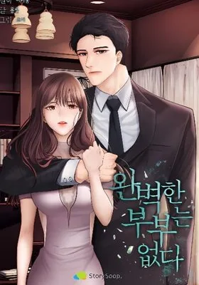 Cover image of There Is No Perfect Married Couple
