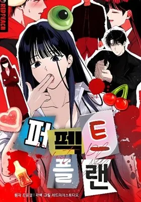 Cover image of Perfect Plan