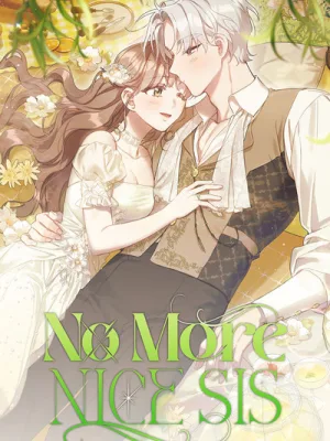 Cover image of No More Nice Sis