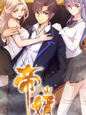 Cover image of Emperor-in-law