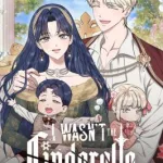 I Wasn’t the Cinderella