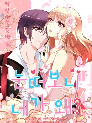Cover image of Ladies Prefer Menservants