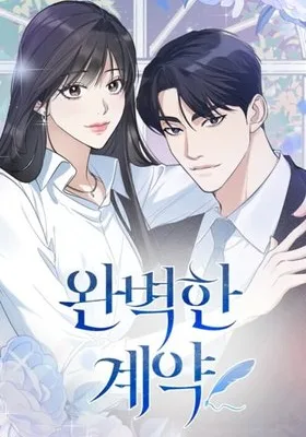 Cover image of The Perfect Contract