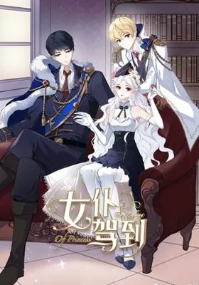 Cover image of The Making Of A Princess