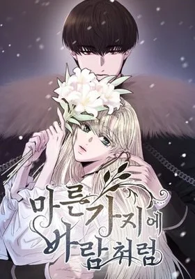 Cover image of Like A Wind On A Dry Branch
