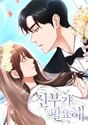 Cover image of I Need a Bride