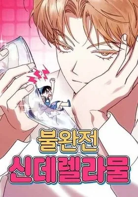 Cover image of Imperfect Cinderella Story