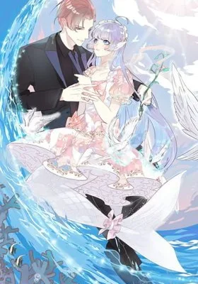 Cover image of Mermaid’s Dresses