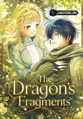 Cover image of The Dragon’s Fragments