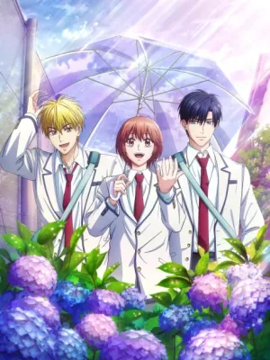 Cover image of Anime – Hana-Kimi Season 2