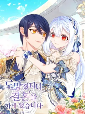 Cover image of I Ran Away and Got Married