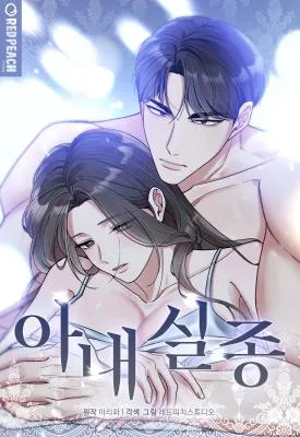 Cover image of Missing Wife