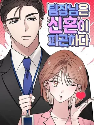 Cover image of The Team Leader is Tired of Being A Newlywed