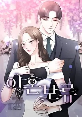 Cover image of Divorce on Hold