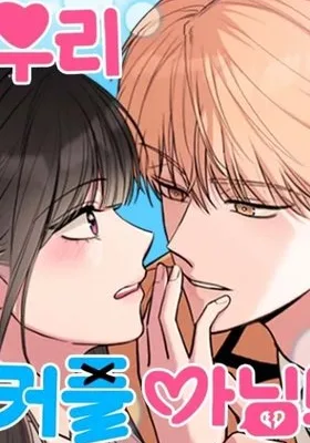 Cover image of We’re Not a Couple!