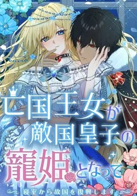 Cover image of Rebuilding My Kingdom in the Enemy Prince’s Bedchamber