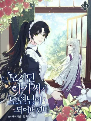 Cover image of The Young Lady I Served Became a Young Master