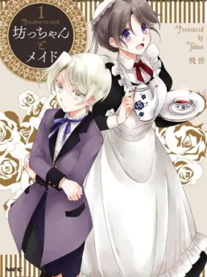 Cover image of The Young Master and The Maid