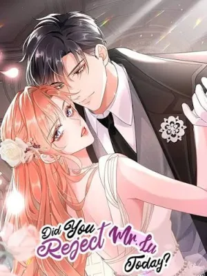 Cover image of Did You Reject Mr.Lu Today?
