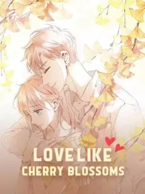 Cover image of Love Like Cherry Blossoms