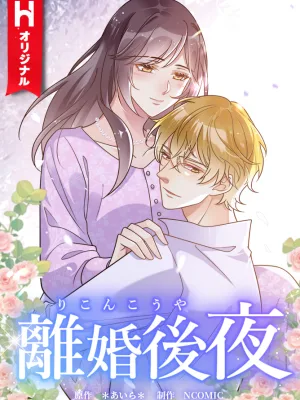 Cover image of The Night After the Divorce