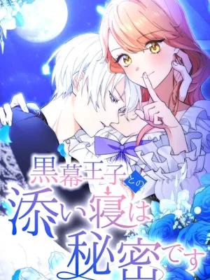 Cover image of The Night I Spend With the Mastermind Prince Is My Secret