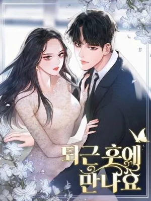 Cover image of Let’s Meet After Work