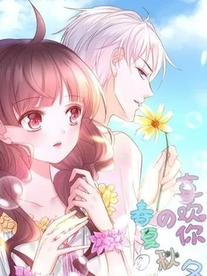 Cover image of Love in Four Seasons