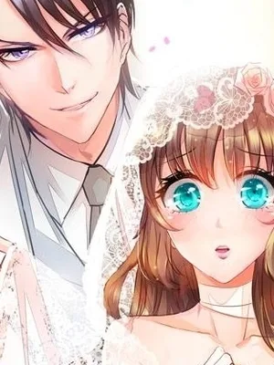 Cover image of Warm Wedding