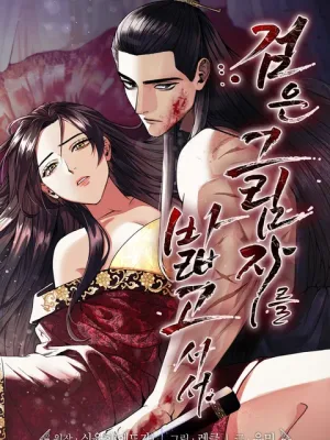 Cover image of Standing on the Black Shadow
