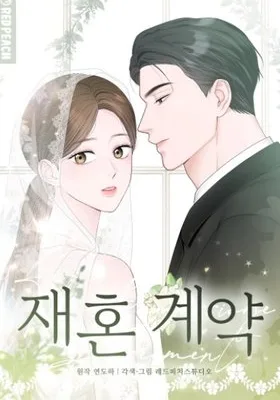 Cover image of Remarriage Contract