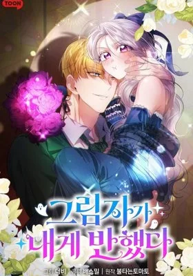 Cover image of The Shadow Fell for Me