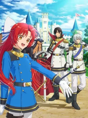 Cover image of Anime – A Tale of the Secret Saint