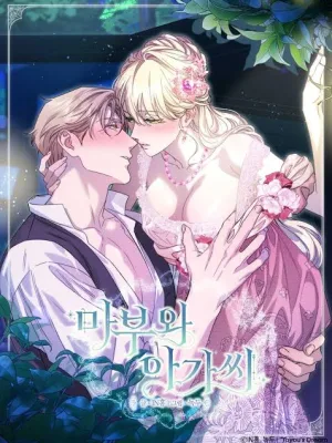 Cover image of The Coachman And The Young Lady