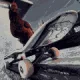 Bird avatar