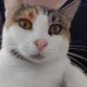 dollyy avatar