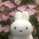 charmy avatar