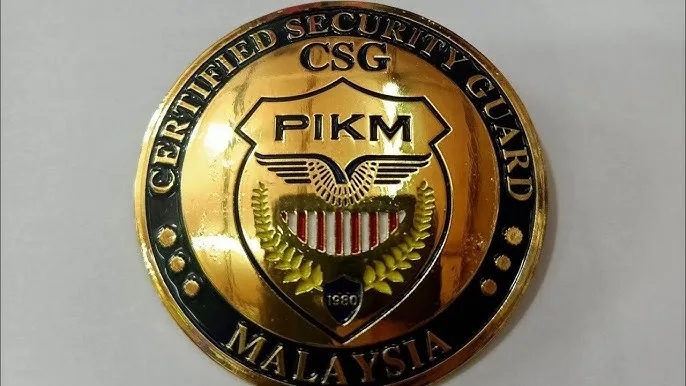 RS150RV2 cover