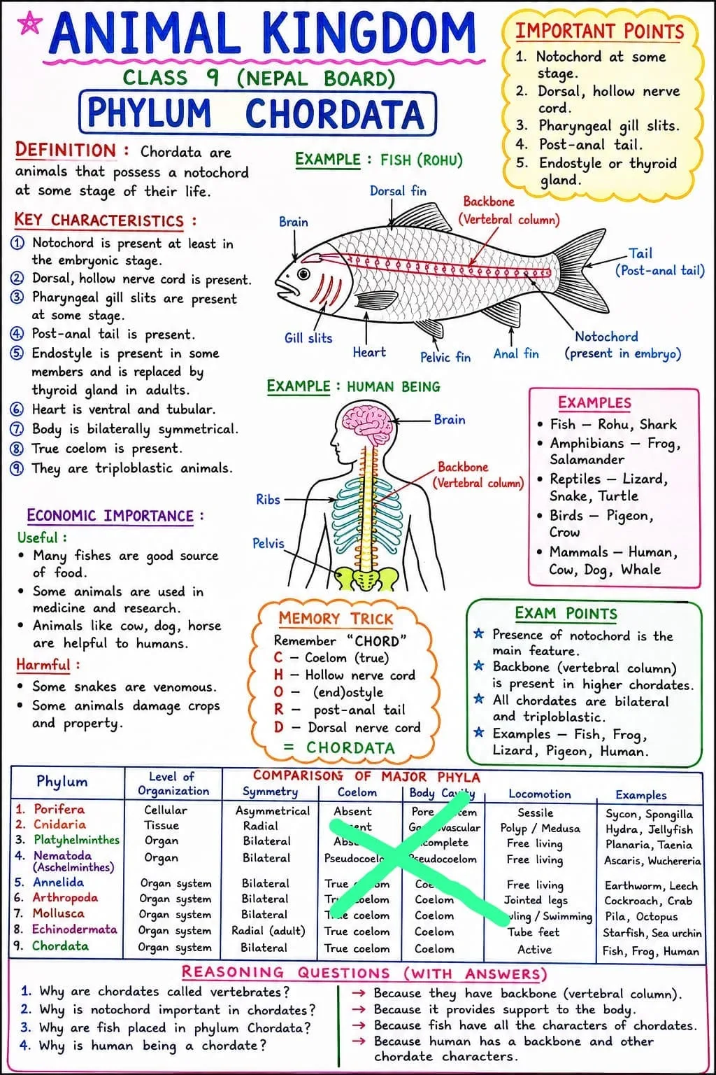 AnosVoldigoad cover
